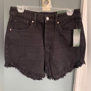 NWT Wild Fable Shorts